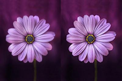 فناوری فشرده سازی تصویر چگونه عمل می کند؟